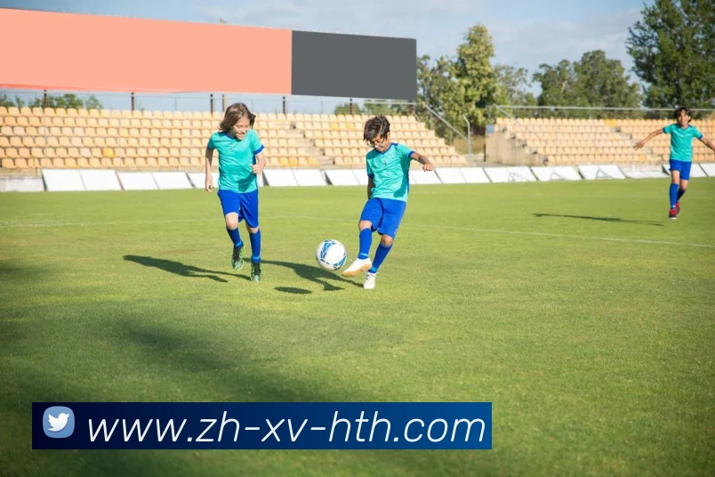 华体会登录入口发展历程