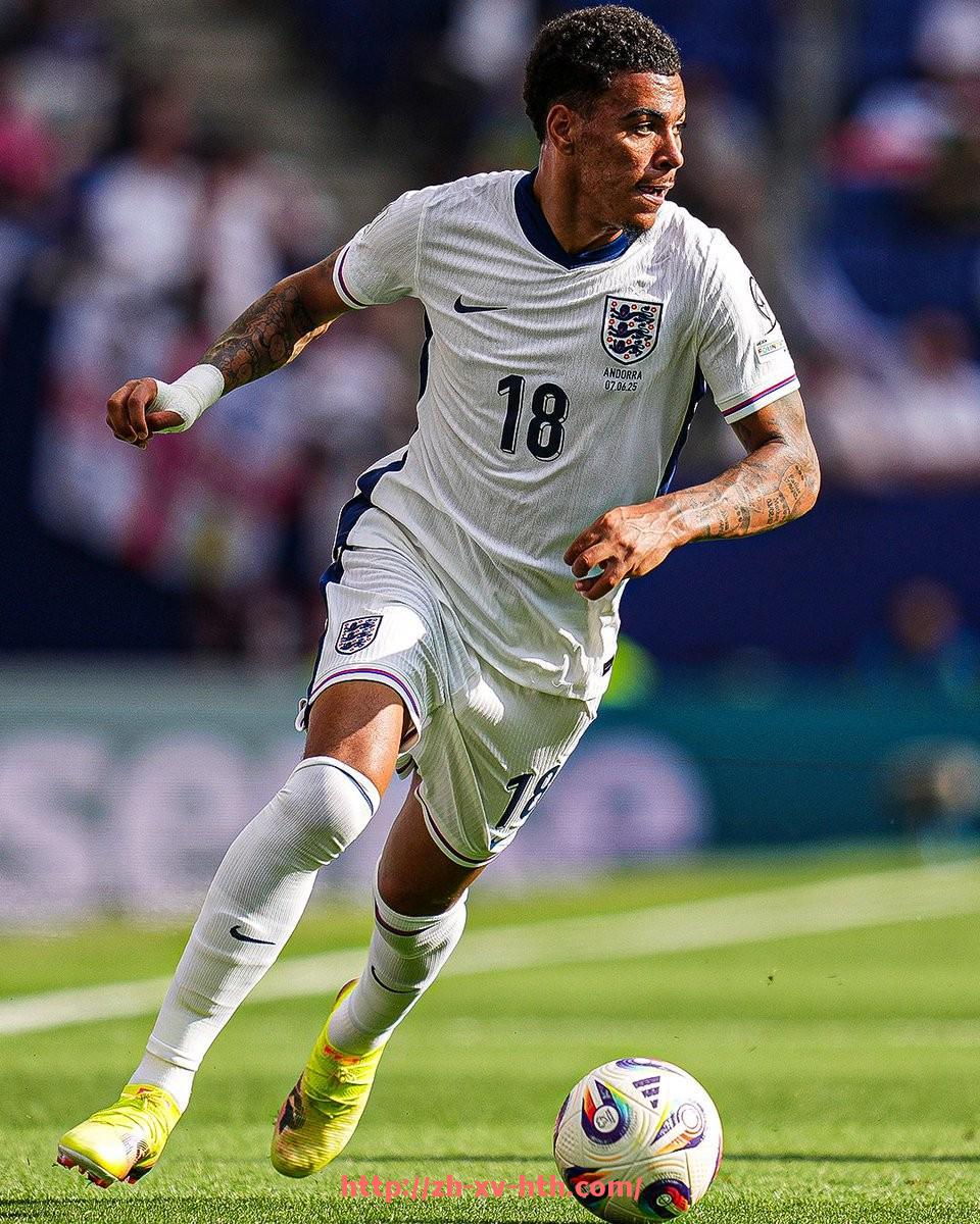 华体会hth-NBA国王队球员名单：盘点NBA国王队本赛季的球员阵容与变化